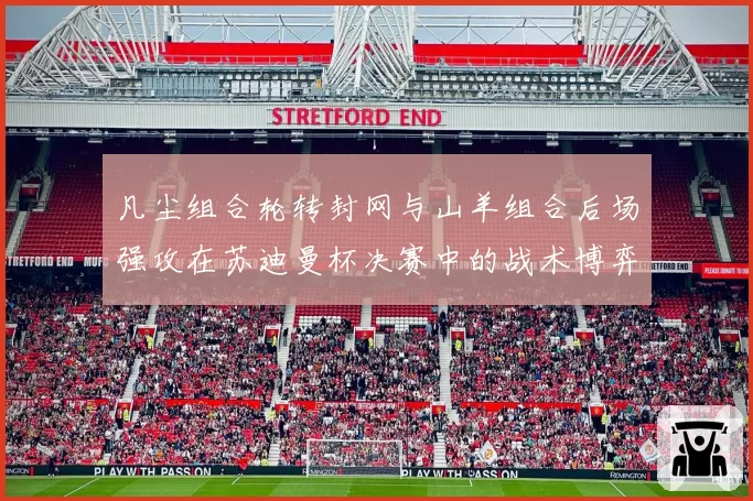凡尘组合轮转封网与山羊组合后场强攻在苏迪曼杯决赛中的战术博弈