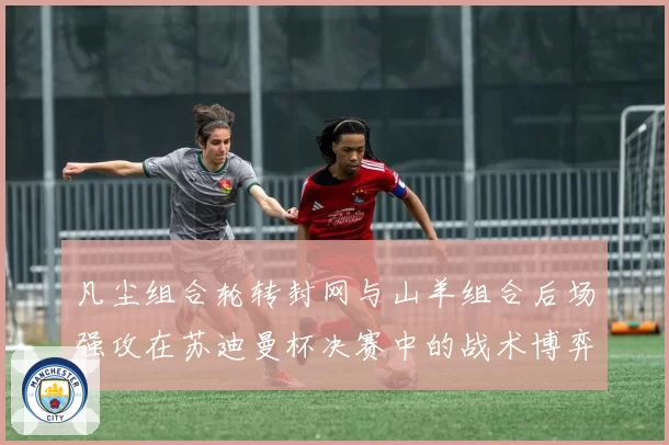 凡尘组合轮转封网与山羊组合后场强攻在苏迪曼杯决赛中的战术博弈